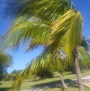 Meet your Posher, Nabila